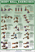 Body Ball Exercises  Poster  - Core