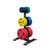 Body Solid GWT56 Weight Tree and Olympic Plate Tree