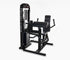 InFlight Multi Bicep / Tricep Machine
