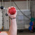 Body Solid Cannonball Grips