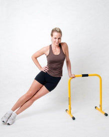 Lebert Equalizer Total Body Strengthener