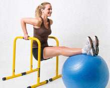 Lebert Equalizer Total Body Strengthener