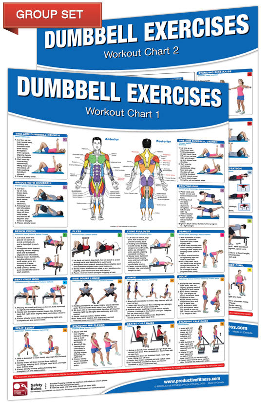 Dumbbell Workout Posterchart Set The Fitness Store