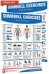 Dumbbell Workout Poster/Chart Set
