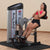 Body Solid Pro Club Line Series II Ab and Back Machine