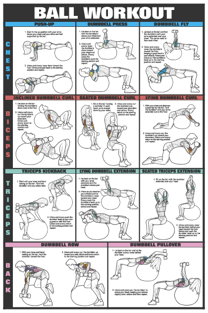 Back Workout Fitness Chart (Co-Ed)