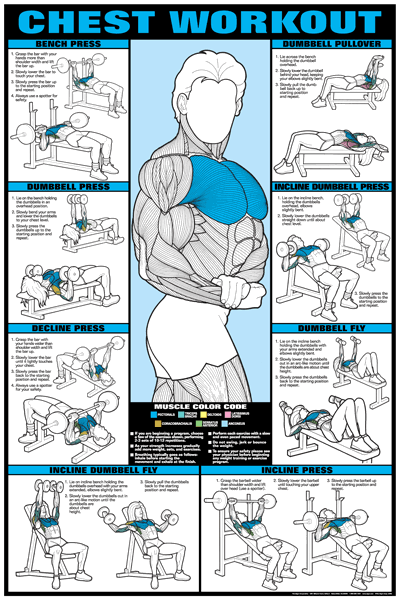 Algra Co Ed Series Chest Workout Chart