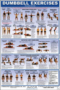 Dumbbell Exercises Poster - Shoulders and Arms – HomeFit Exercise Equipment