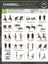 Fighthrough Fitness Dumbbell Workout Poster