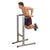 Body Solid Free Standing Dip Station