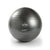 SPRI Elite Exercise / Stability Ball