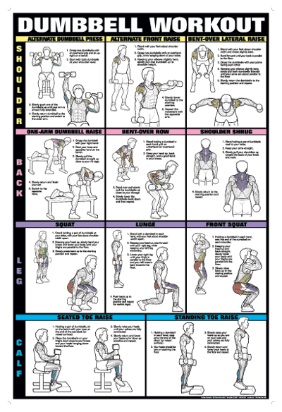Home back tgis workout dumbbells only