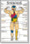 Algra Harmful Effects of  Steroids Poster